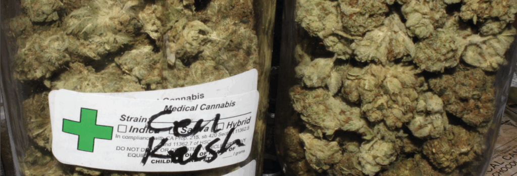 Cannabis e derivati in Farmacia