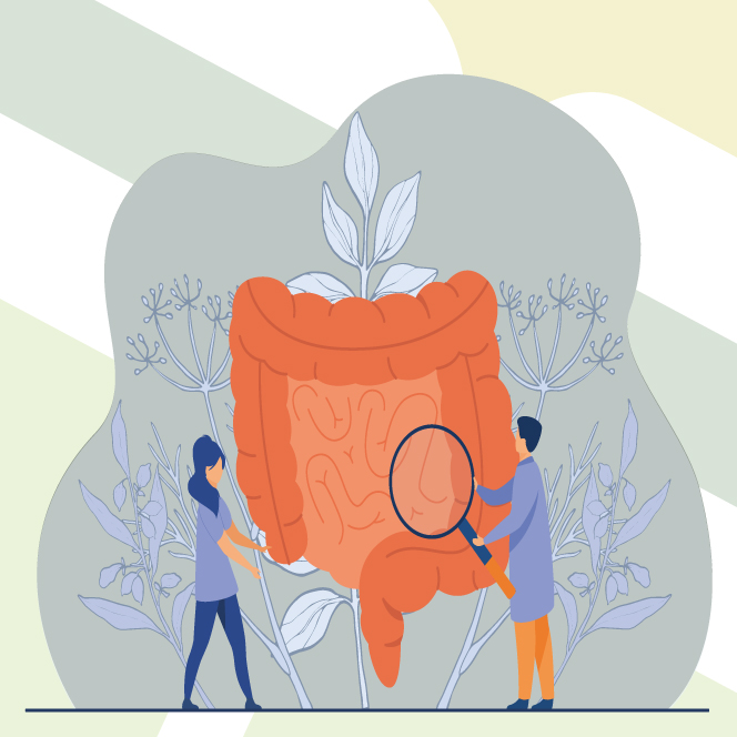 Piante medicinali e salute digestiva