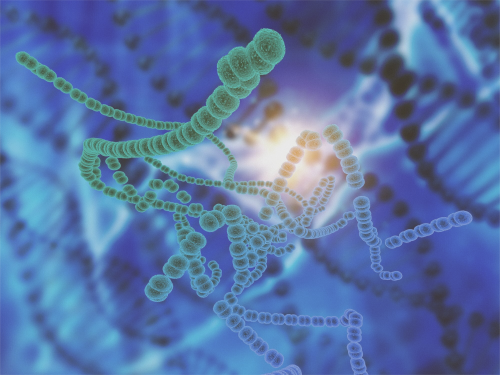 Microbiota e salute dell’organismo